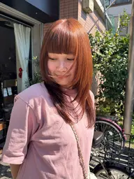 レイヤーカットモデル