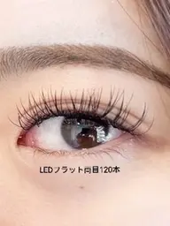 ledフラット120本☀　men'sは+550円👦　(オフ込み)