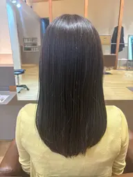 レディースカットモデル+カラーモデル