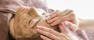 リニューアルオープン㊗️特別割引き/金の糸クリスタル水光ピーリング🌿