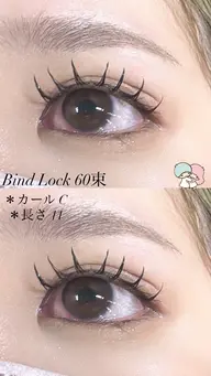 バインドロック60束