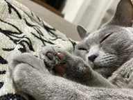 小顔似合わせカット➕保湿トリートメント♪