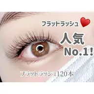 フラットラッシュ120本+コーティング付き