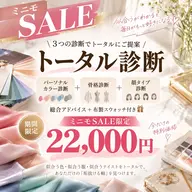 【ミニモSALE】トータル診断+診断後総合アドバイス+布製スウォッチ