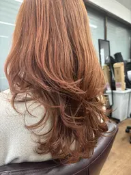 ハッシュカット・レイヤーカットのクーポンです⋆⸜🧡⸝⋆