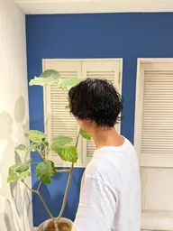 【平日限定‼️】🌀 カット➕メンズパーマ(特殊変更OK)動き・無造作・波巻き・ツイスパ対応◎【補足説明欄確認‼️】