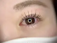 LashLift上下