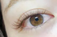 カラーフラットラッシュ(2色MIX)【80~100本迄】ご希望の本数をメッセージでお伝えださい
