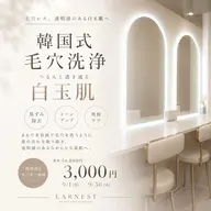 【 練習モデル 】毛穴•黒ずみ徹底洗浄👃🏻全顔韓国式毛穴洗浄 ¥16,800 → ¥3,000