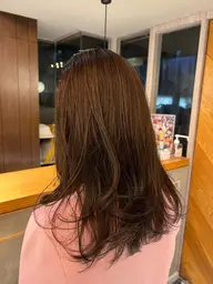 🎀平日限定🩰【カット➕ワンカラー➕シャンプーブロー】※ﾄﾘｰﾄﾒﾝﾄ付き🌟