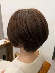 カット+ポイントハイライト