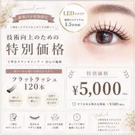 🌹LED【フラットラッシュ120本】¥5000✨コーティング付◎