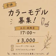 全体カラー✨モデル