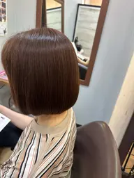 カット、トリートメント