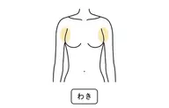 【メンズ・女性】【最新LED脱毛】両ワキ脱毛