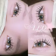 アップワードラッシュ《LED》140本︎︎🦢オフ込み
