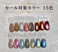 セール🉐15色から選べるマグネットネイル✨