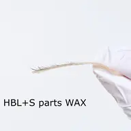 【細かいケアも】HBL（眉毛）＋フェイスワックス（パーツS）