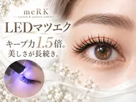 【ミニモ限定💕】上品に盛れる🎀LEDフラットラッシュ120本+アイシャンプー ¥7,980(オフ込)