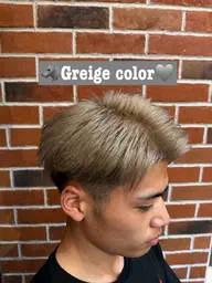 🐺Greige Color🪙