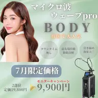 【韓国美容マイクロウェーブpro】二の腕・お腹痩身 160kj🩶