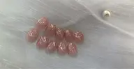 シンプル定額コース