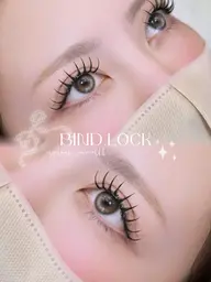 【初回オフ無料】大人気⭐︎バインドロック100束💥