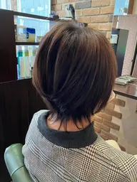 カット & ブロー(シャンプー無し)
