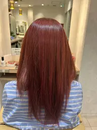 ファッションカラー（ワンカラー）