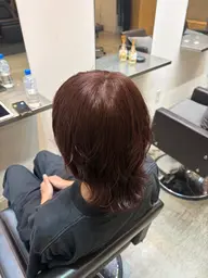 🤎【6月25日(木)限定】🤎🕊️ワンカラー練習モデル🕊️✨《透明感カラー/暖色/ワインレッド/ピンクブラウン》
