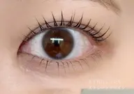 LASHLIFT (下)