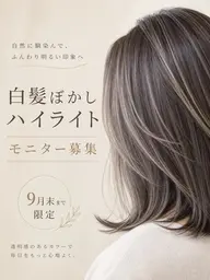 [9月末までモニター募集] 白髪ぼかしハイライト(ホイル10枚以内]