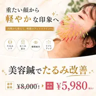 【人気No.1メニュー】美容鍼(たるみ 小顔 ほうれい線 眼精疲労 顔のむくみ リフトアップ たるみ)(60分)