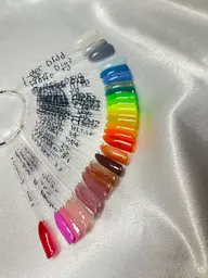 ワンカラー(オフ無料)