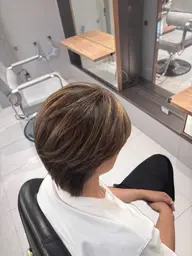 ハイライト