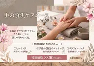 手の贅沢ケアコース
