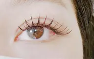 【ミニモ学割】🦋フラットラッシュ120本🦋
