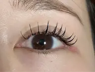 付け足し限定♡フラットラッシュ60本🌷