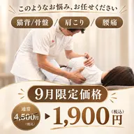 🌟期間限定クーポン🌟4500円→1900円