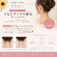 🌻9月末まで宇都宮営業/女性 うなじ(もみあげ、肩込)