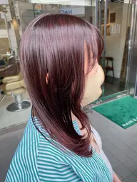 カット+艶カラー+2stepトリートメント