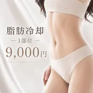 大人気⭐︎脂肪痩せ【お腹・太もも】冷却痩身1部位
