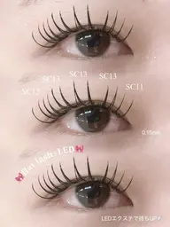 🌼LED付け足し60本🌼（オフ不可）