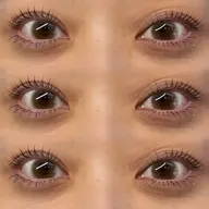 【上下パリジェンヌ】