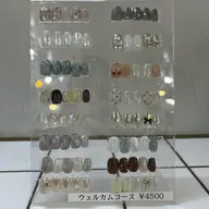 【オフなし】ウェルカムコース