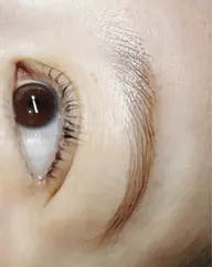 ブロウスタイリング｜眉WAXのみ