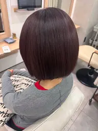 【平日1日1名限定】🦋ブリーチなしワンカラー+クイックトリートメント🦋