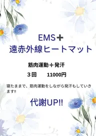 EMSで筋肉運動プラスヒートマットで発汗(1回の料金です)（完全個室）
