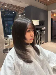 カットモデル