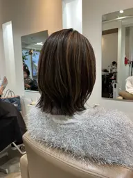 カット+ハイライト